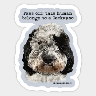 Cockapoo Dog Sticker